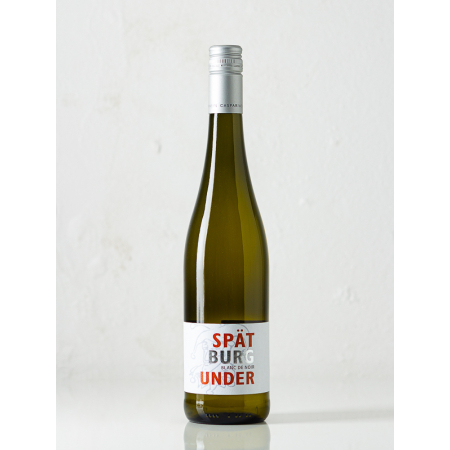 Riesling, trocken, Mosel, 2022, Weingut Caspari-Kappel, 1 liter