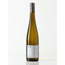 Riesling Schiefer, trocken, Pfalz, 2023, Weingut Klaus Meyer