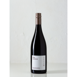 Spätburgunder Buntsandstein, trocken, Pfalz, 2020, Weingut Klaus Meyer