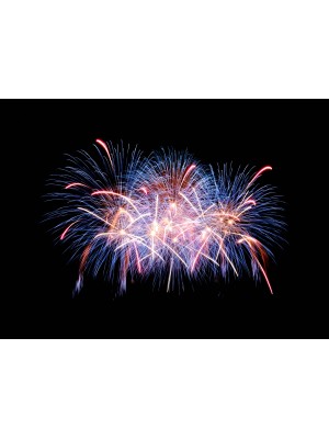 Lørdag d. 28.12.24 - Åben Nytårs Vinkælder - fra kl. 12.00 - 18.00