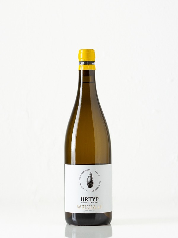Urtyp, Müller-Thurgau, trocken, Baden, 2024, Weingut Weishaar