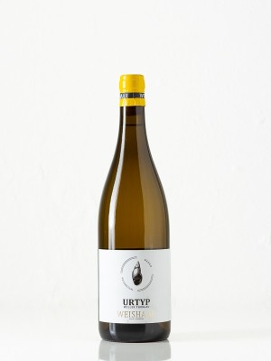 Urtyp, Müller-Thurgau, trocken, Baden, 2024, Weingut Weishaar