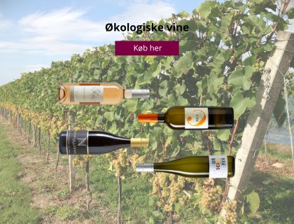 Økologiske vine