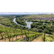 Langs floden Main i vinområdet Franken