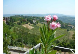 Italienske lækkerier fra Tenuta La Meridiana i Piemonte!