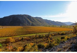 Vinmagi fra hjertet af Rhône!